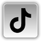Seguidores en TikTok
